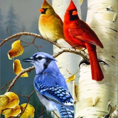 Drapeau - Oiseaux de Chez Nous 28'' x 40''